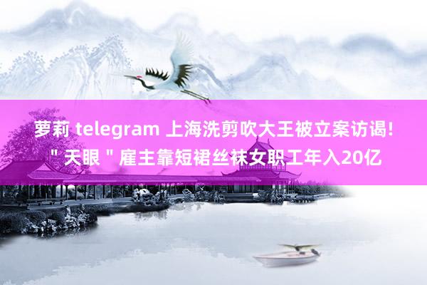 萝莉 telegram 上海洗剪吹大王被立案访谒!＂天眼＂雇主靠短裙丝袜女职工年入20亿