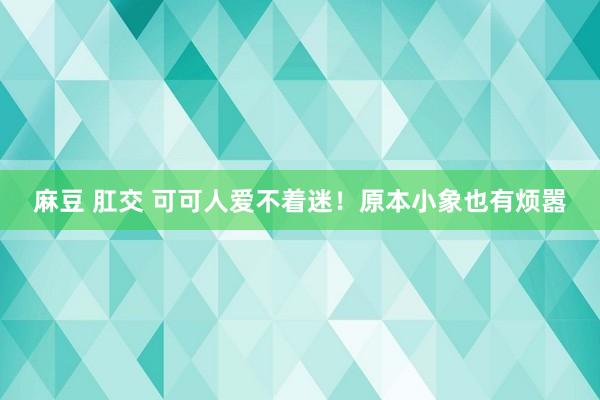 麻豆 肛交 可可人爱不着迷！原本小象也有烦嚣