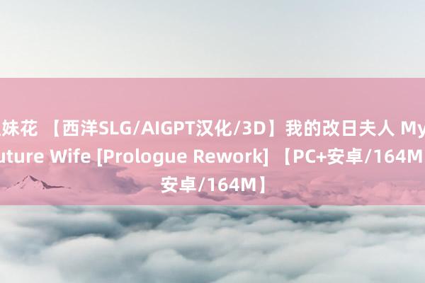 姐妹花 【西洋SLG/AIGPT汉化/3D】我的改日夫人 My Future Wife [Prologue Rework] 【PC+安卓/164M】