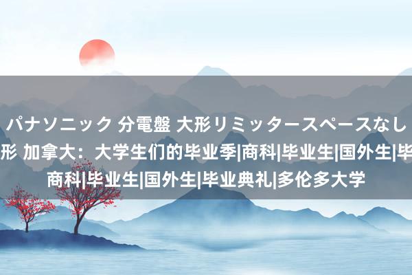 パナソニック 分電盤 大形リミッタースペースなし 露出・半埋込両用形 加拿大：大学生们的毕业季|商科|毕业生|国外生|毕业典礼|多伦多大学