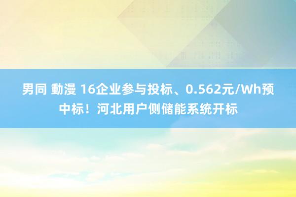 男同 動漫 16企业参与投标、0.562元/Wh预中标！河北用户侧储能系统开标