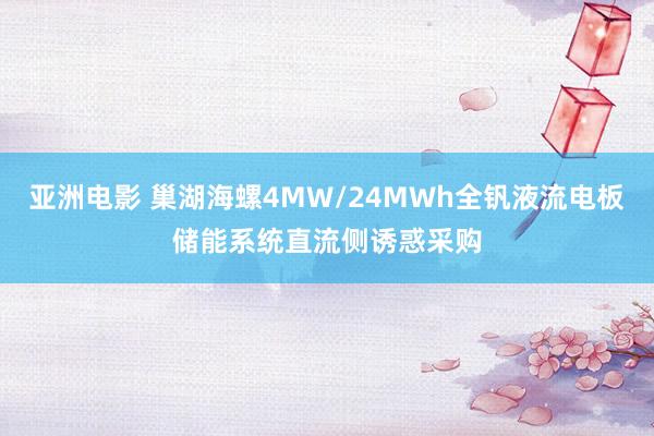 亚洲电影 巢湖海螺4MW/24MWh全钒液流电板储能系统直流侧诱惑采购