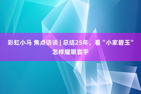 彩虹小马 焦点访谈 | 总结25年，看“小家碧玉”怎样耀眼寰宇